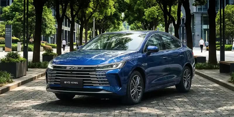 BYD King estacionado em área urbana arborizada